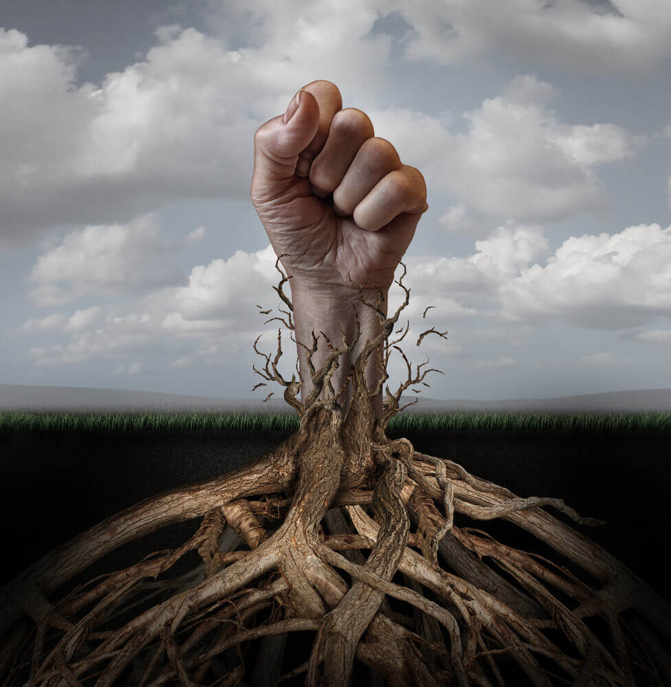 How to Pull Up the Root of Fear