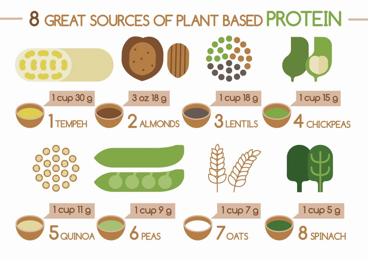 Top 7 Powerful Plantbased Foods with Protein Take Back Your Temple Christian Weight Loss
